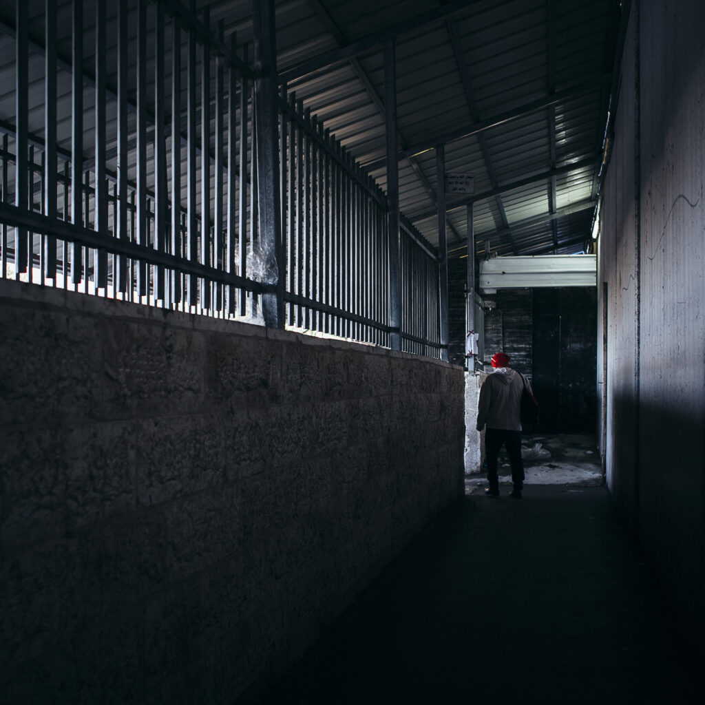 "Treffen wir uns in der Mitte" Fotobuch mit begleitenden Texten von Sabine Kneidinger und Frank Niedertubbesing.